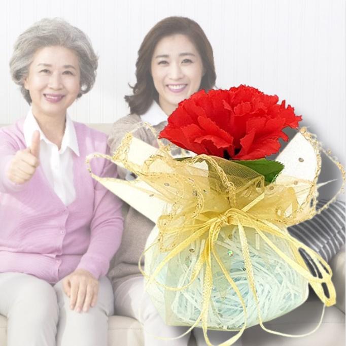 스승의날 어린이집 유치원 어버이날 카네이션 만들기 키트 - 메인 이미지