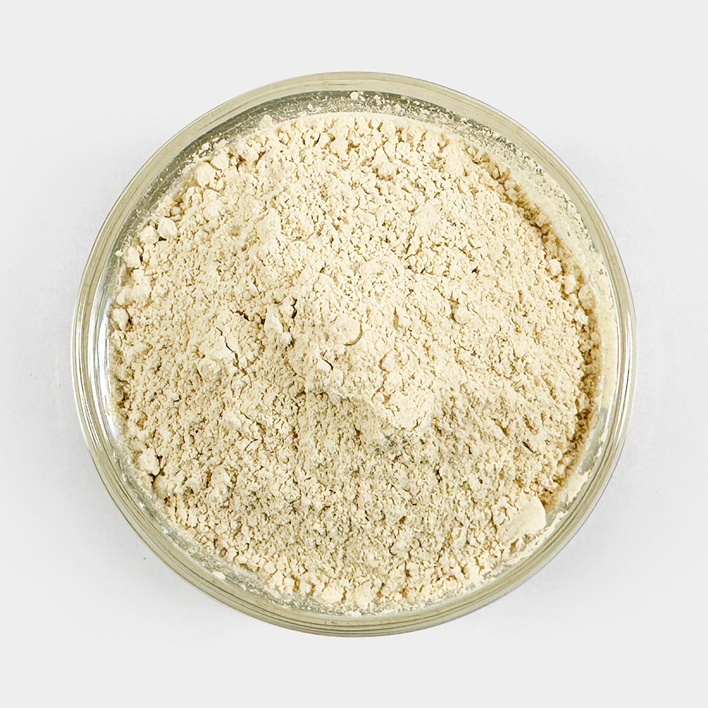 쌀단백질 500g 식물성단백질 프로틴 단백질쉐이크 보충제 이미지 3