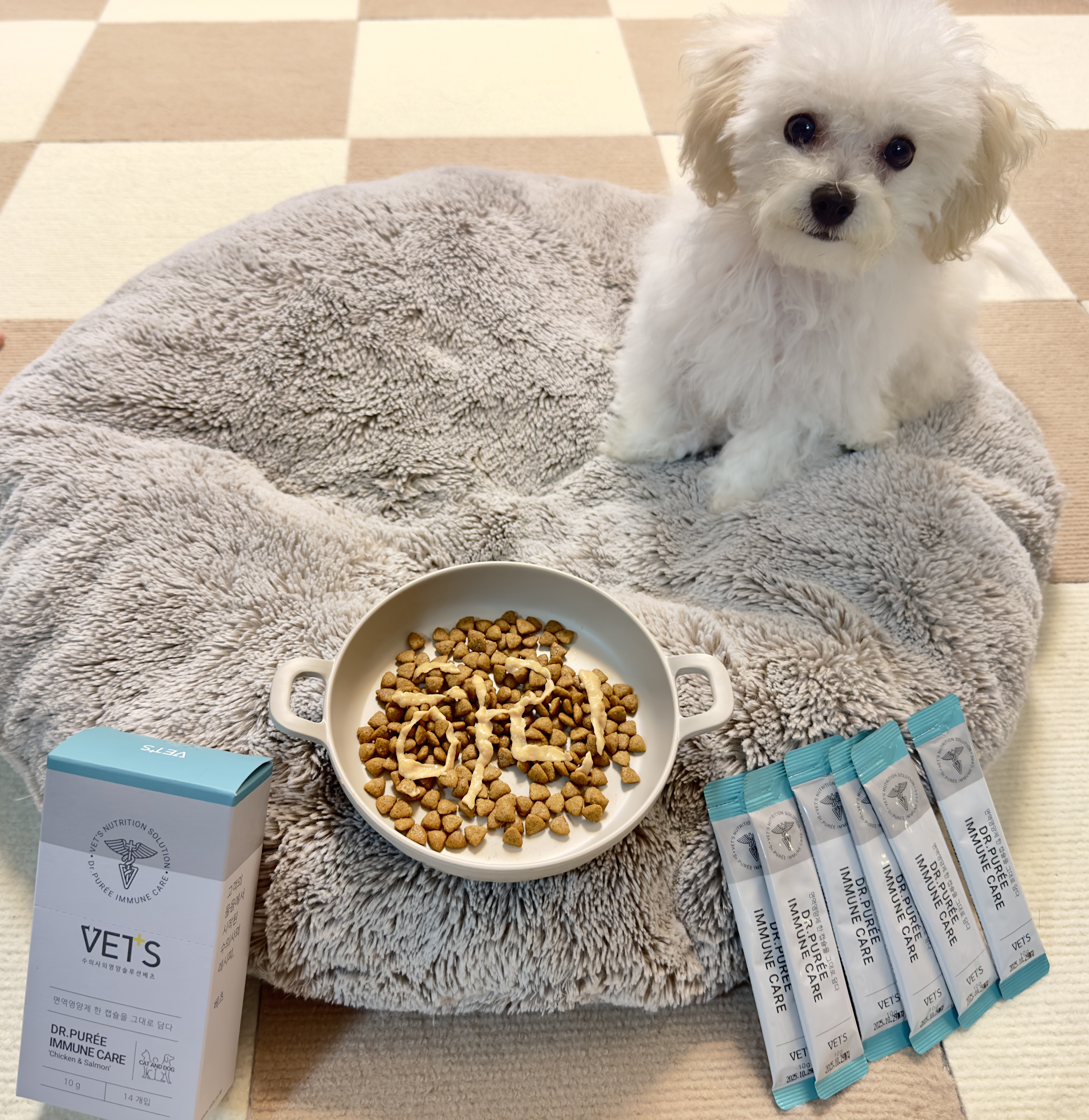 이뮨케어 한달분 고양이 구내염약 영양제 허피스 감기 기침 콧물 엘라이신