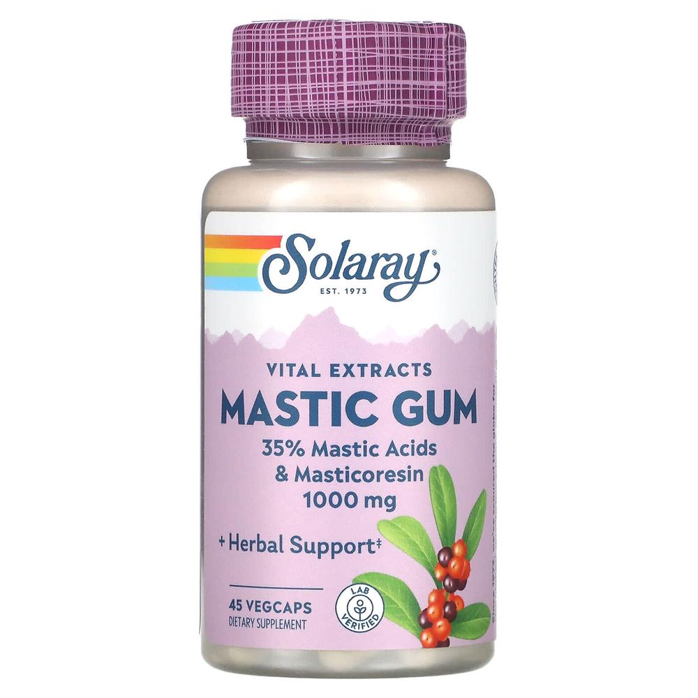 솔라레이 매스틱검 식이섬유 1000 mg Mastic Gum 45정 - 상품 이미지