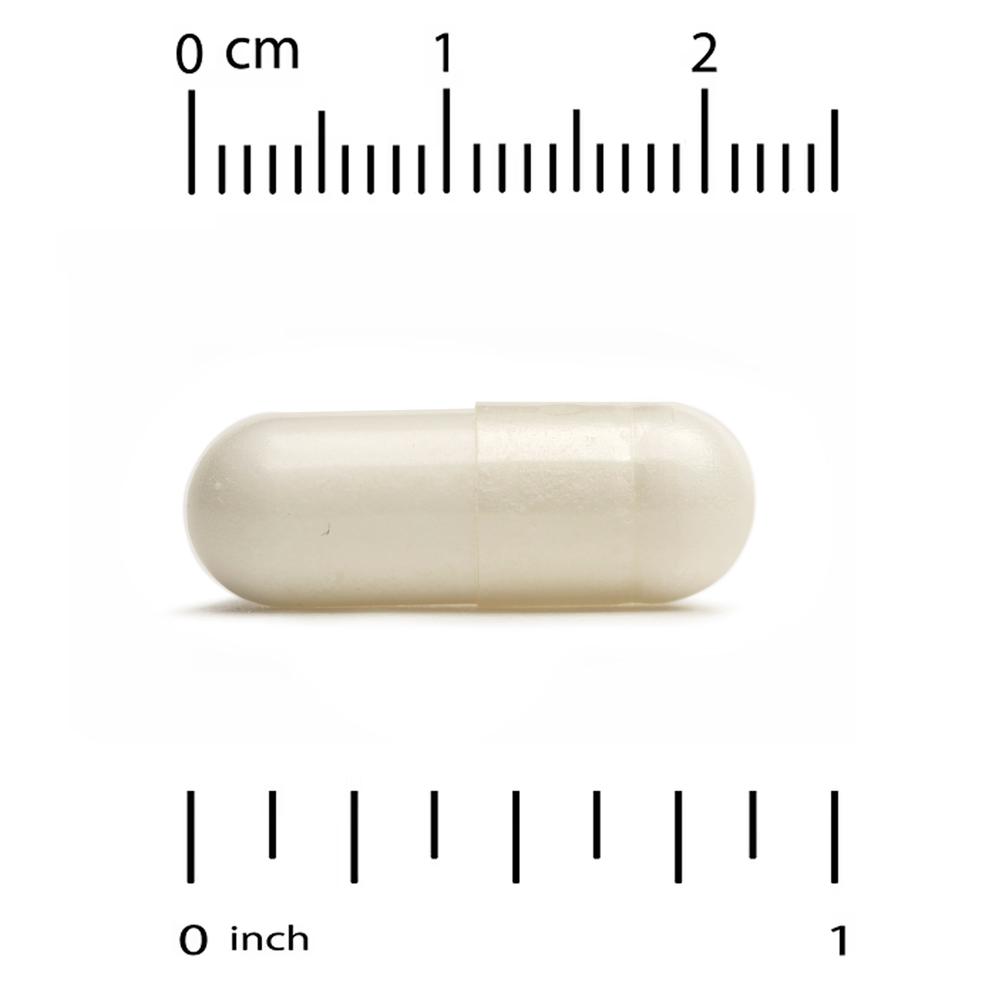 CGN 매스틱검 500mg Mastic Gum 180정 - 상세 이미지 3