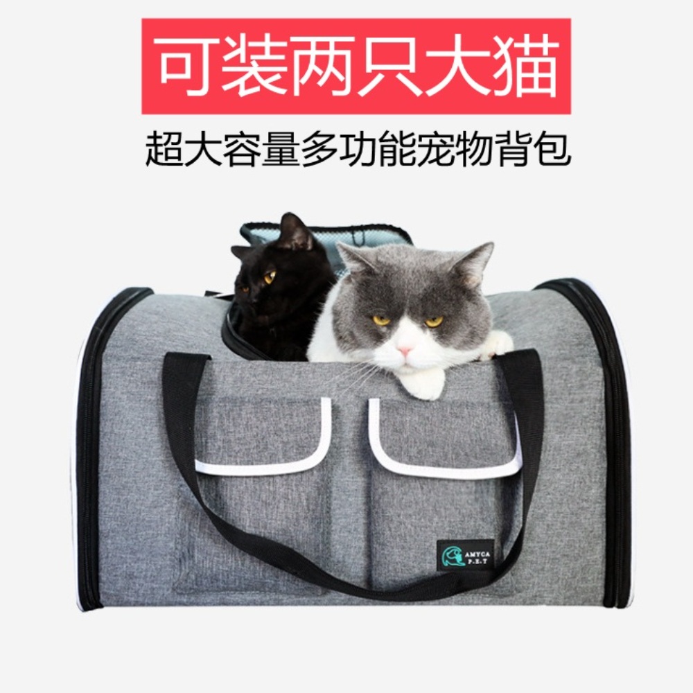 중형견 가방 반려견 애견가방 이동장 강아지가방 강아지 산책 애견 케이지 - 상세 이미지 3