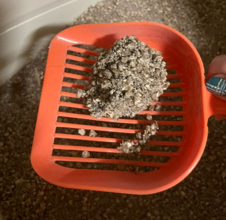 제품 비교 이미지