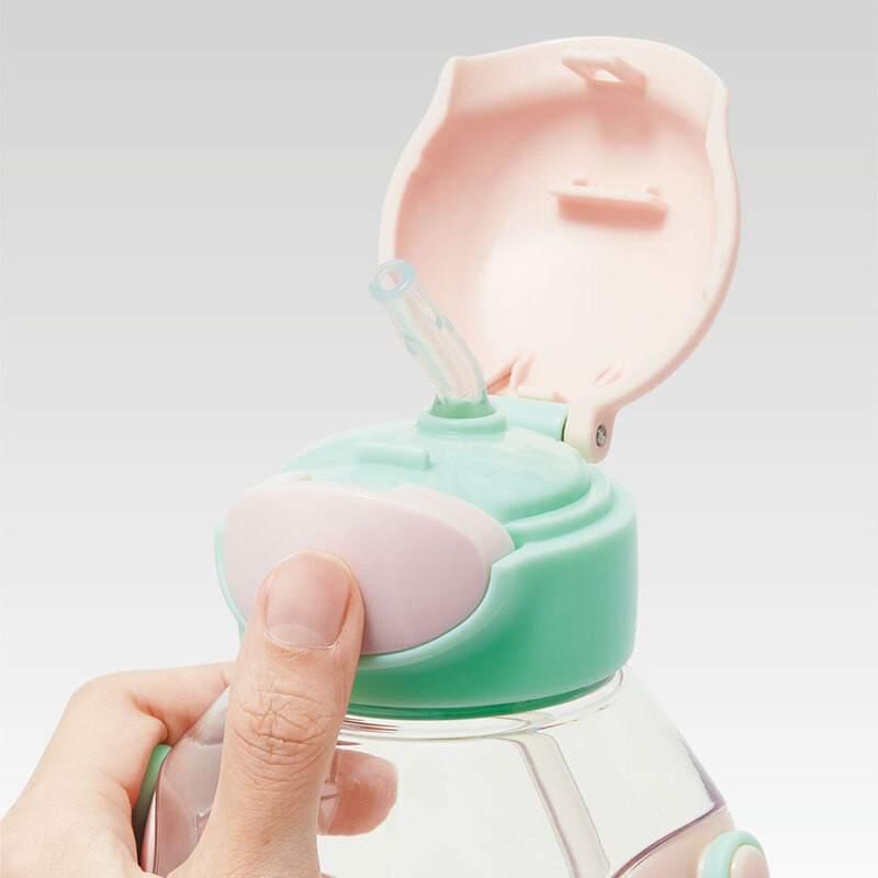 스케이터 디즈니 프린세스 캐릭터 원푸쉬 스트로 보틀 530ml PDSH6DX - 주방·식기 - 하카타몰