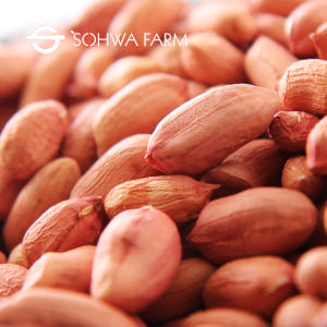 2025년 국산 햇 땅콩 1kg 손으로깐생땅콩 맛있게 먹은 솔직 후기 - 상품 이미지 2