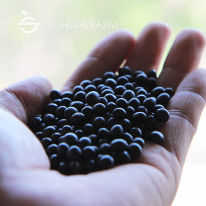 2025년 국산 소만콩 1kg 검은콩 검정콩 맛있게 먹은 솔직 후기 - 상품 이미지 4