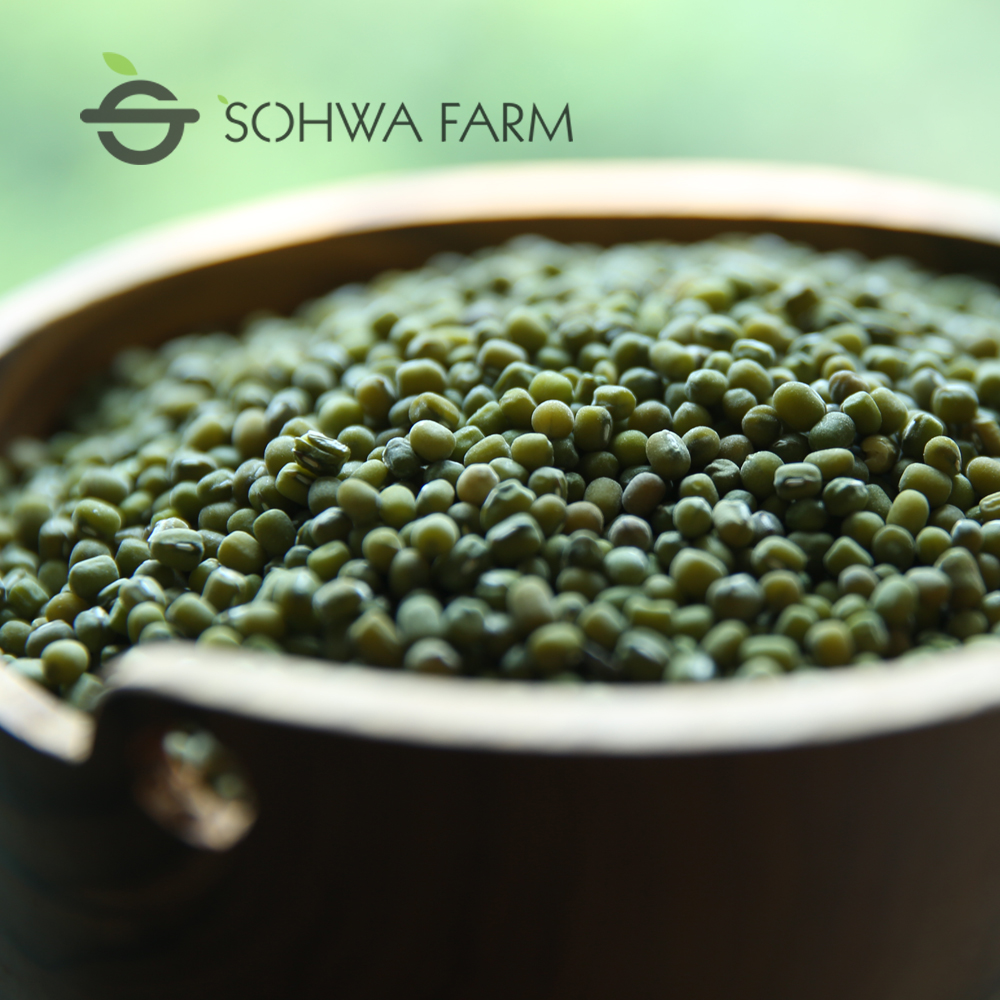 2025년 국산 녹두 1kg 햇 통녹두