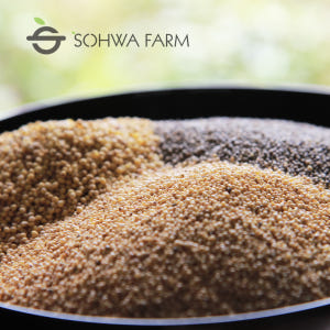 2025년 조트리오 1kg 차좁쌀 청차좁쌀 찰기장 맛있게 먹은 솔직 후기 - 상품 이미지 2