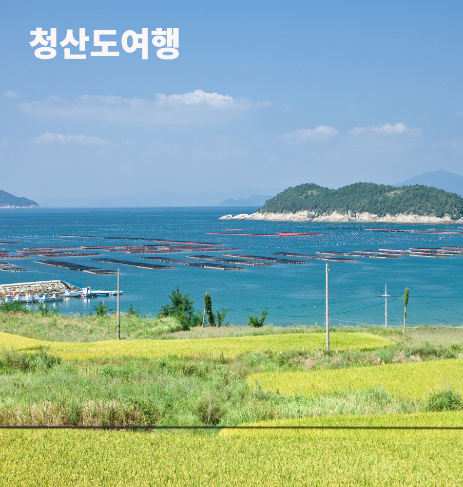 [기차여행] 여름특선 청산도&남도여행 1박2일 이미지 7