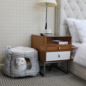 가티가티 고양이 숨숨집 텐트 하우스 강아지 집 솔직 후기 | 실제 사용자 리뷰 총정리 - 상품 이미지 2