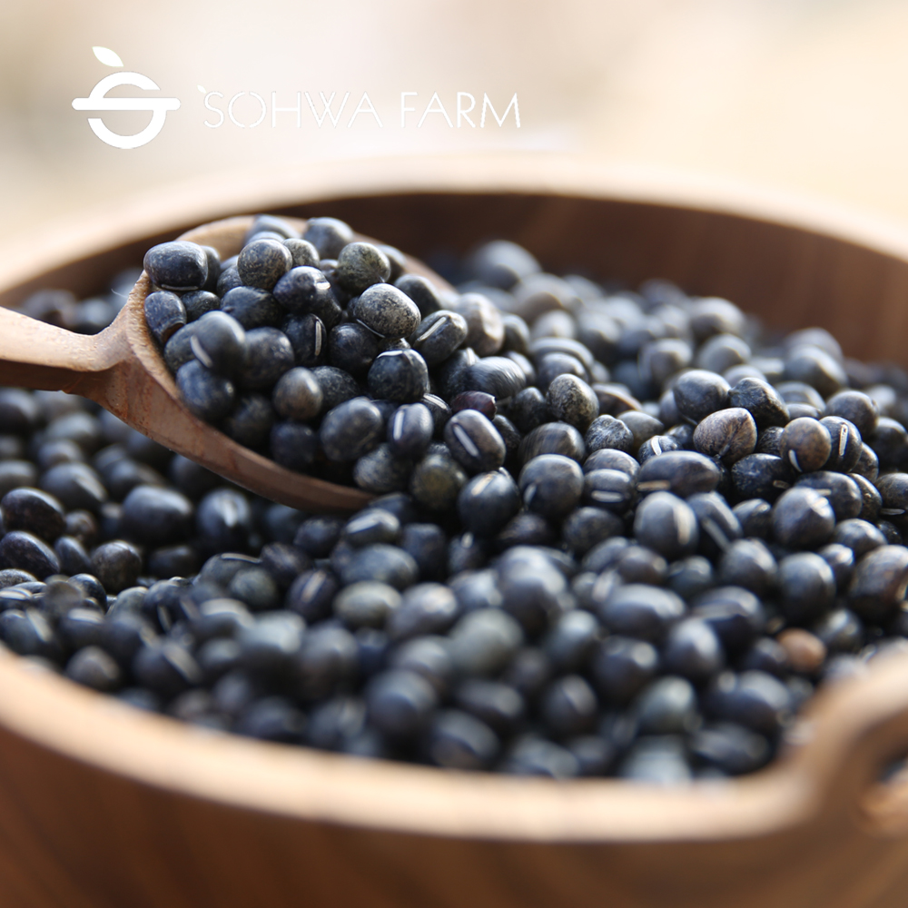2024년 국산 재팥 검은팥 1kg 거두검정팥 쉬나리팥