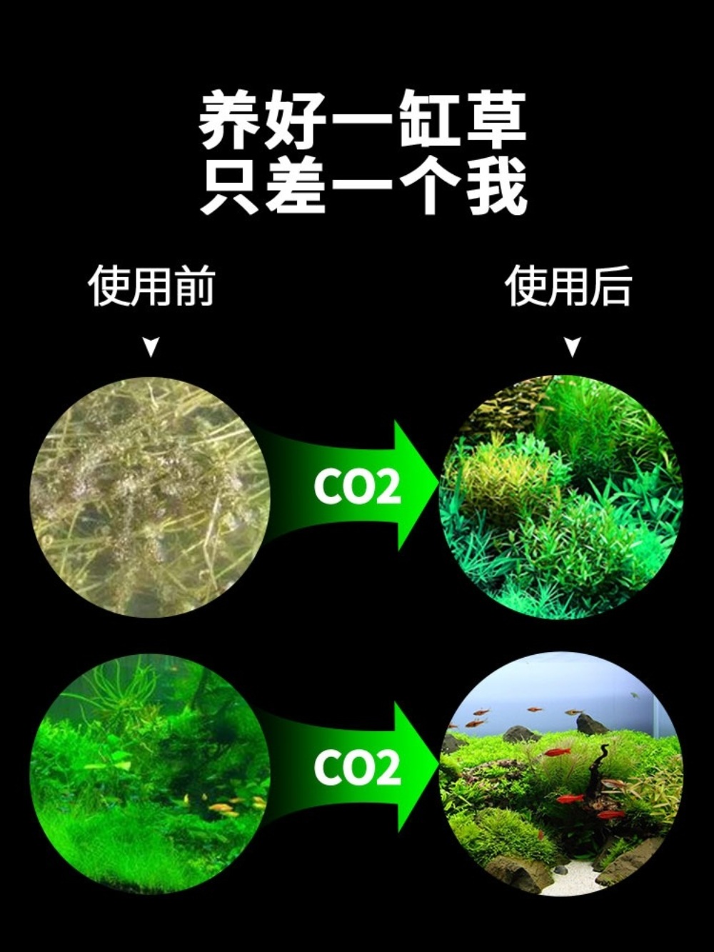 이산화탄소 발생기 실린더 CO2 화학이탄 발생 - 상세 이미지 2