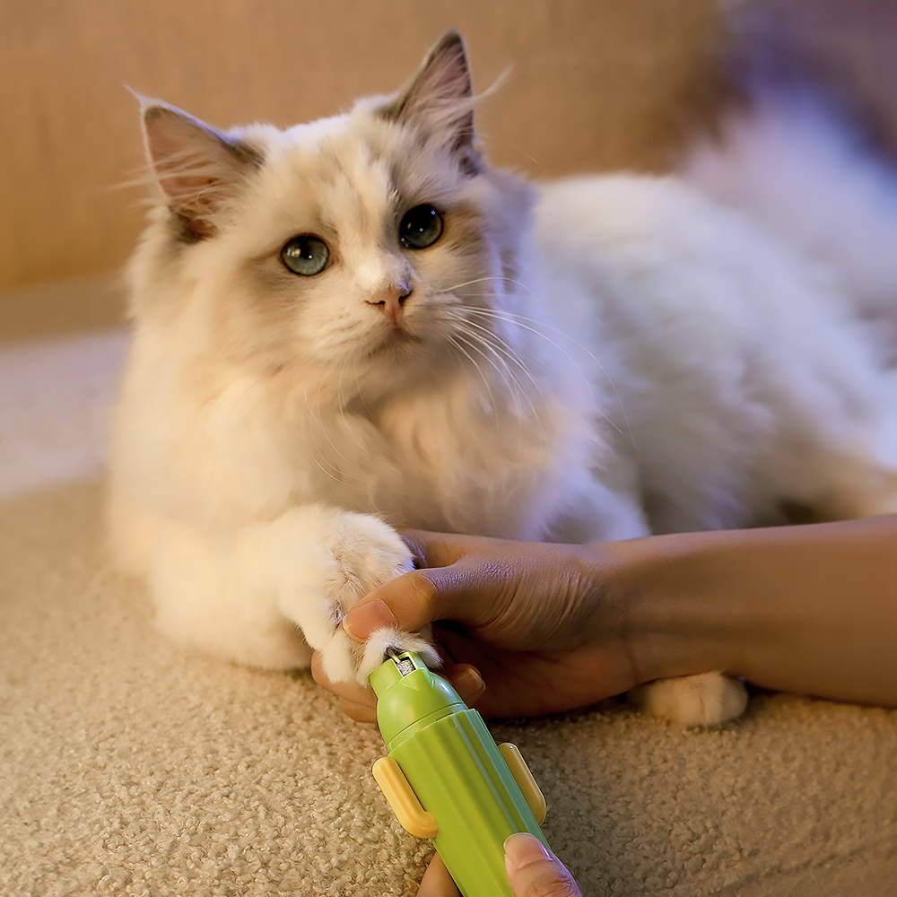 펫쭈 선인장 LED 발톱갈이 그라인더 강아지 고양이 다듬기 발톱깎이 케어