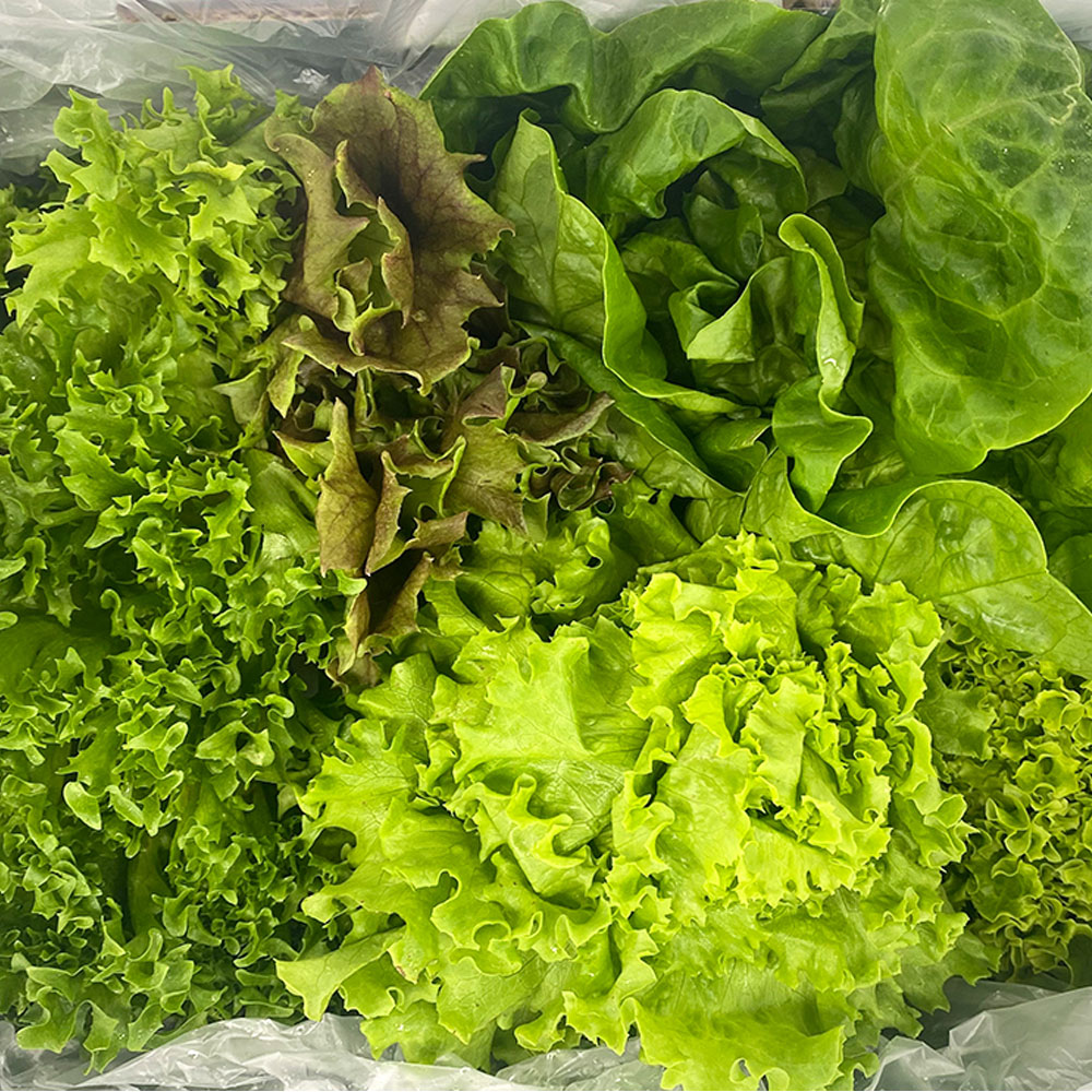 유럽샐러드채소 유럽채소 1kg 무농약 - 상품 이미지