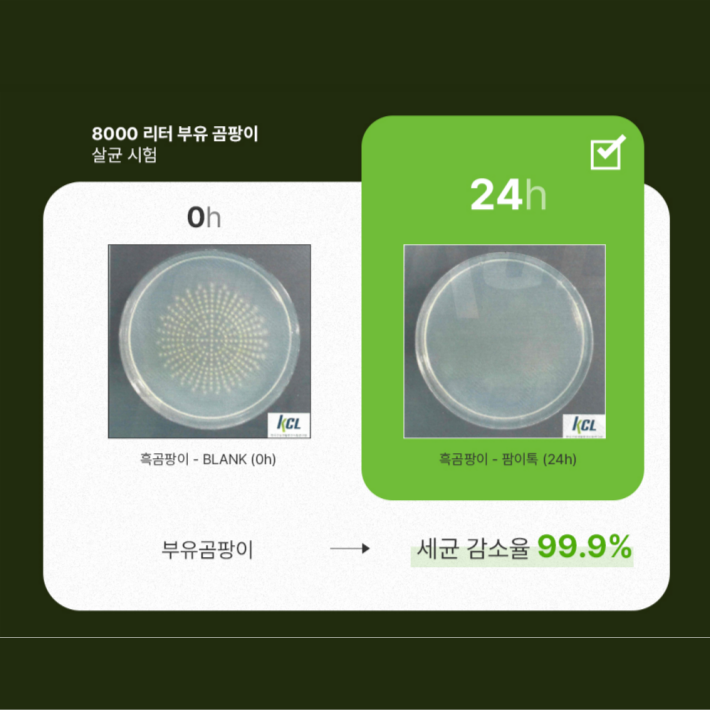 [무료배송] 팜이톡 스틱형 냉장고탈취제 냄새제거 살균 신선도유지 2개입, 1개 - 상세 이미지 5