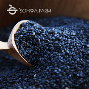 2025년 국산 볶은 검은깨 흑임자 500g 볶은검정깨 맛있게 먹은 솔직 후기 - 상품 이미지 1
