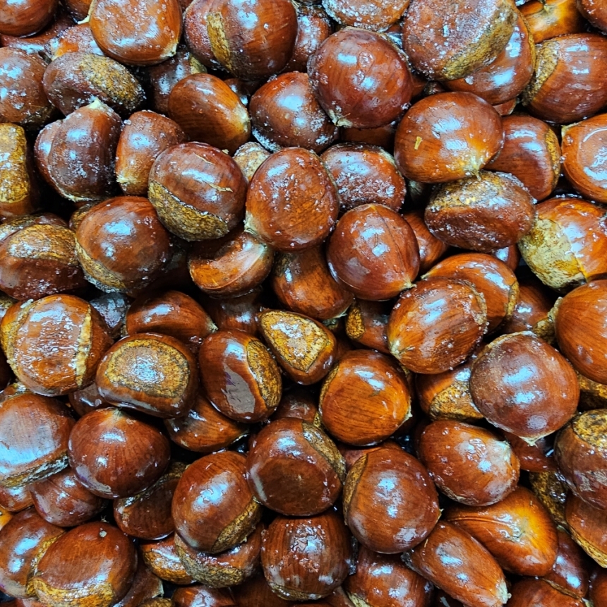 노루골부여알밤 특1kg 이미지 7