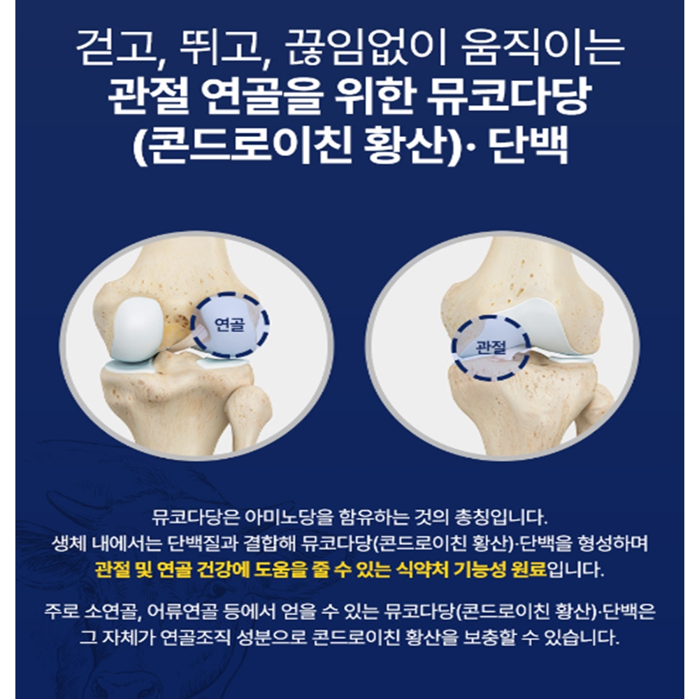 콘드리친 콘도로이친 코스트코 콘드로이친 1200 효능 무부프리 60정 - 상세 이미지 5