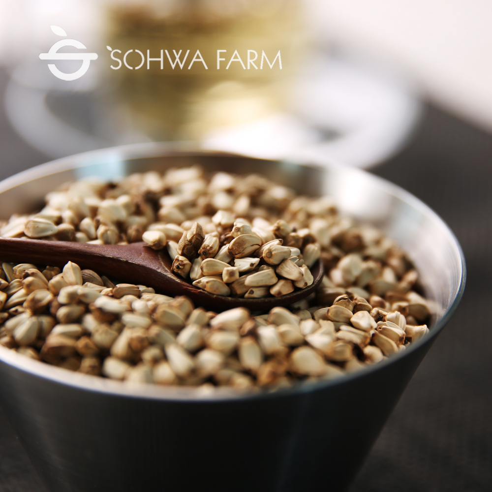 국산 햇 홍화씨 차 500g 볶은 홍화씨 제품 이미지