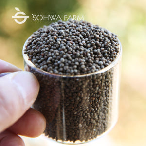 2025년 국산 볶은들깨 500g 볶음통들깨 맛있게 먹은 솔직 후기 - 상품 이미지 2