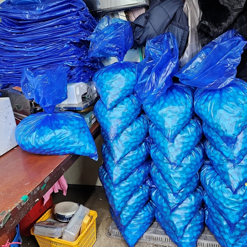 노루골농원 햇 깐밤 중 1kg 밤 단밤 선물용 이미지 8