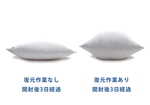 에이엔제이 수면 베개 본체 AnJ DHR6000 하이 클래스 - 상세 이미지 3