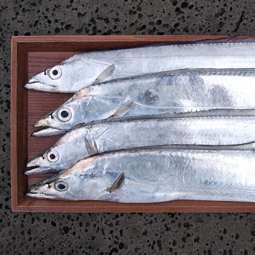 제주도 은갈치 제주전통 갈치살젓 갈치속젓 400g - 상세 이미지 5