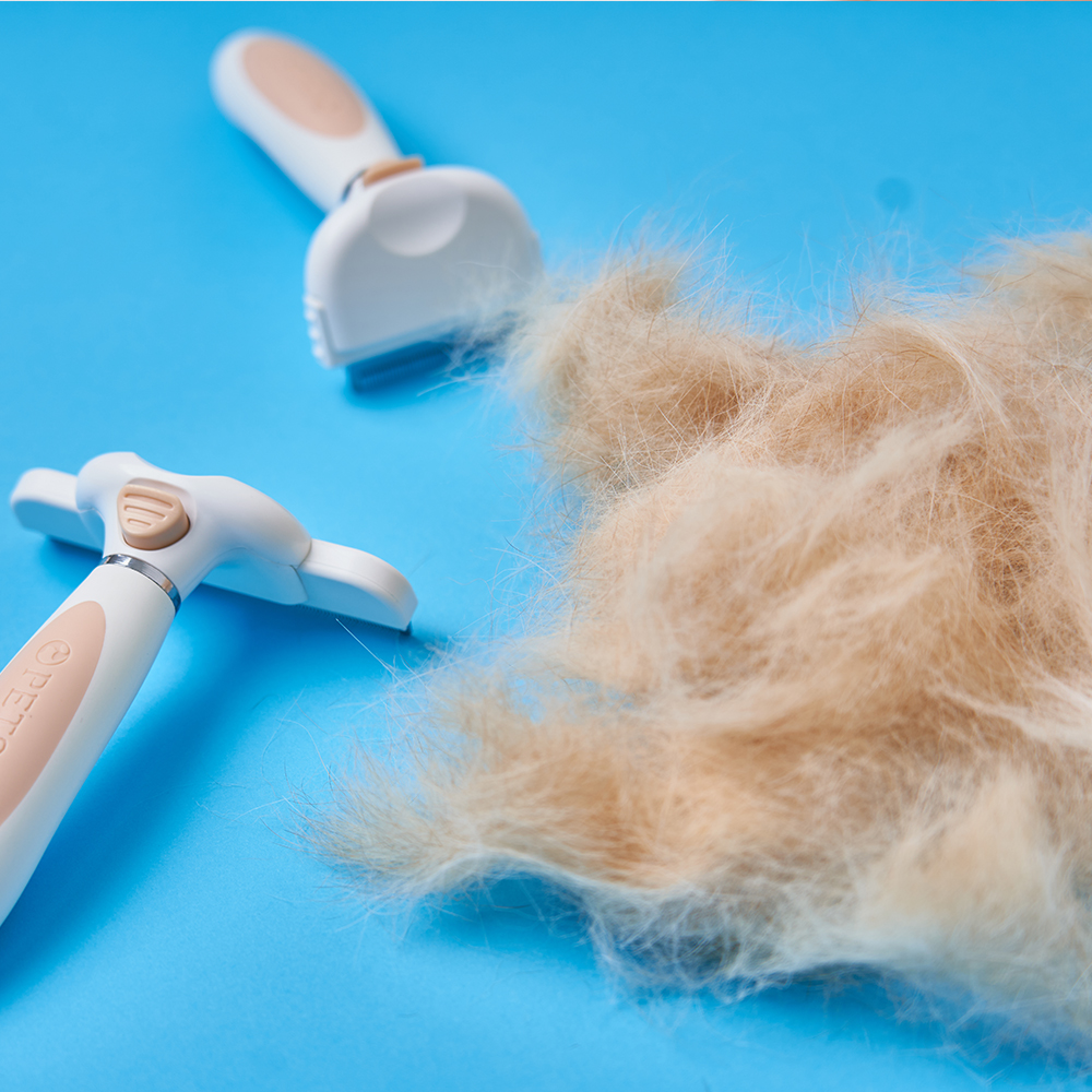 펫스츄리 강아지빗 고양이빗 원터치 죽은털제거브러쉬 S