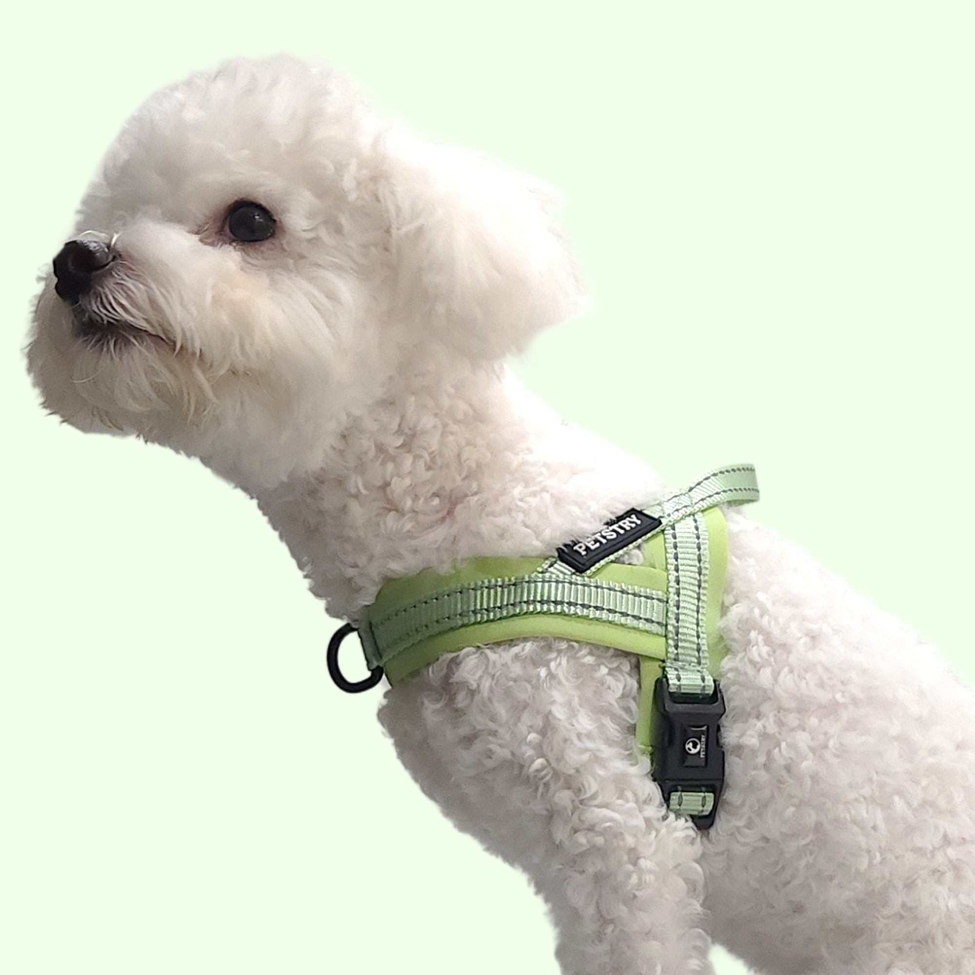 펫스츄리 강아지 앞섬방지 하네스 에어쿠션 가슴줄 대형견 산책 훈련 XS