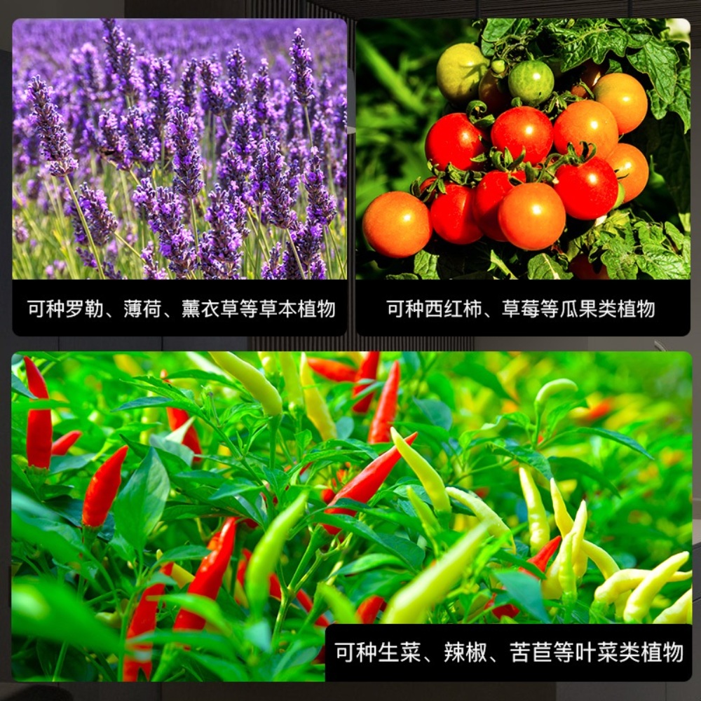 수경재배기 바질 치커리 키우기 LED 조명 이미지 4