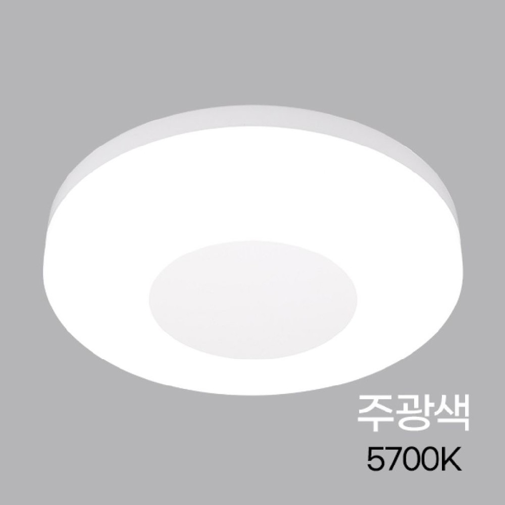 원형 LED 직부등 프리미엄 15W 주광 KC : 돈티나더셀