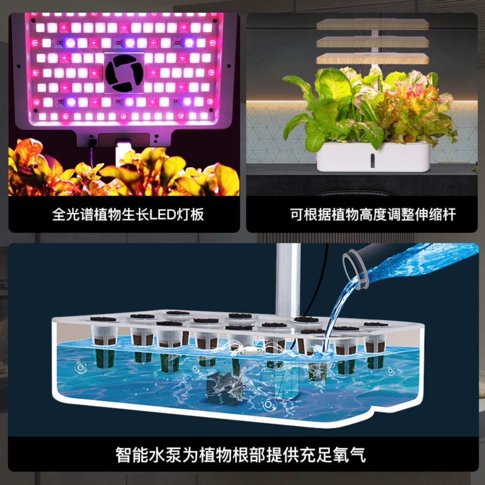 수경재배기 바질 치커리 키우기 LED 조명 이미지 2