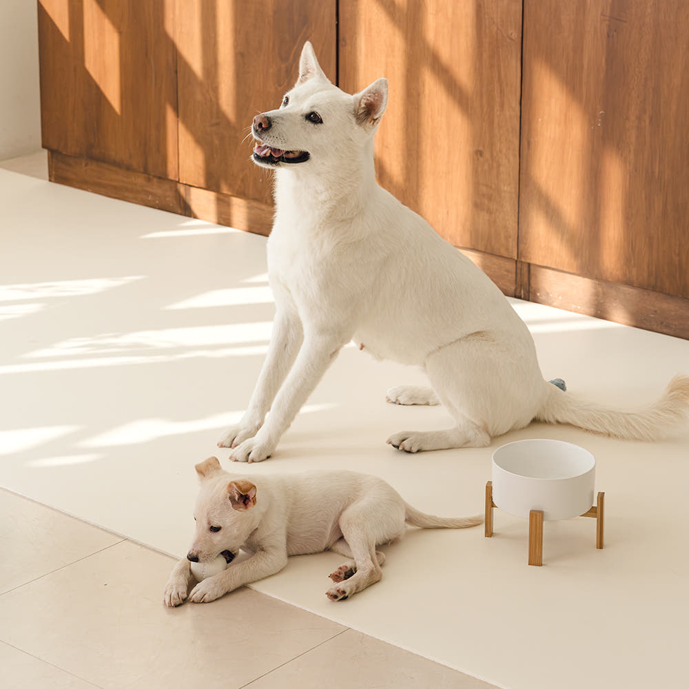 구루구루 슬림핏 펫 매트