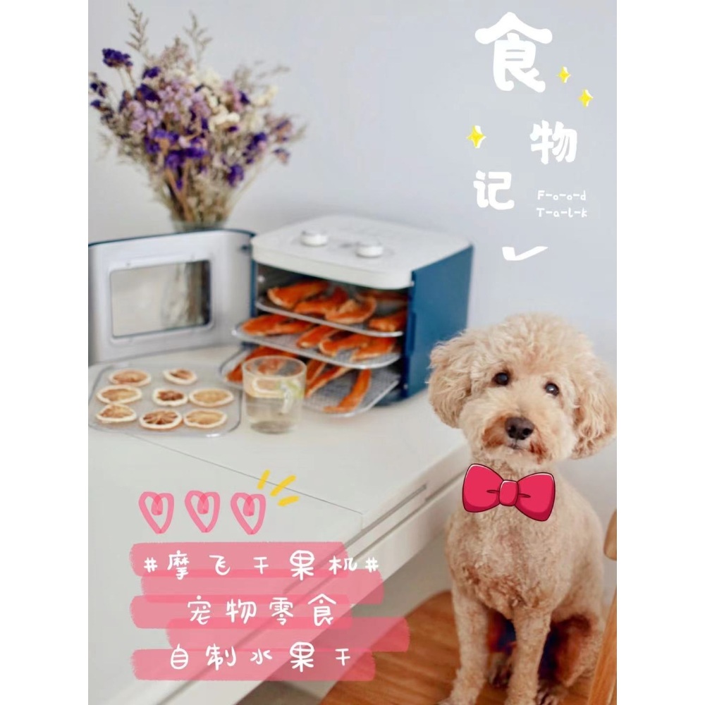 동결건조기계 과일 말리는기계 저온 소형 이미지 2