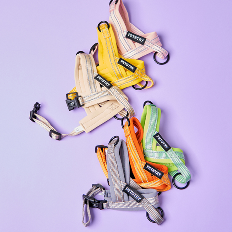 펫스츄리 강아지 앞섬방지 하네스 에어쿠션 가슴줄 대형견 산책 훈련 XS