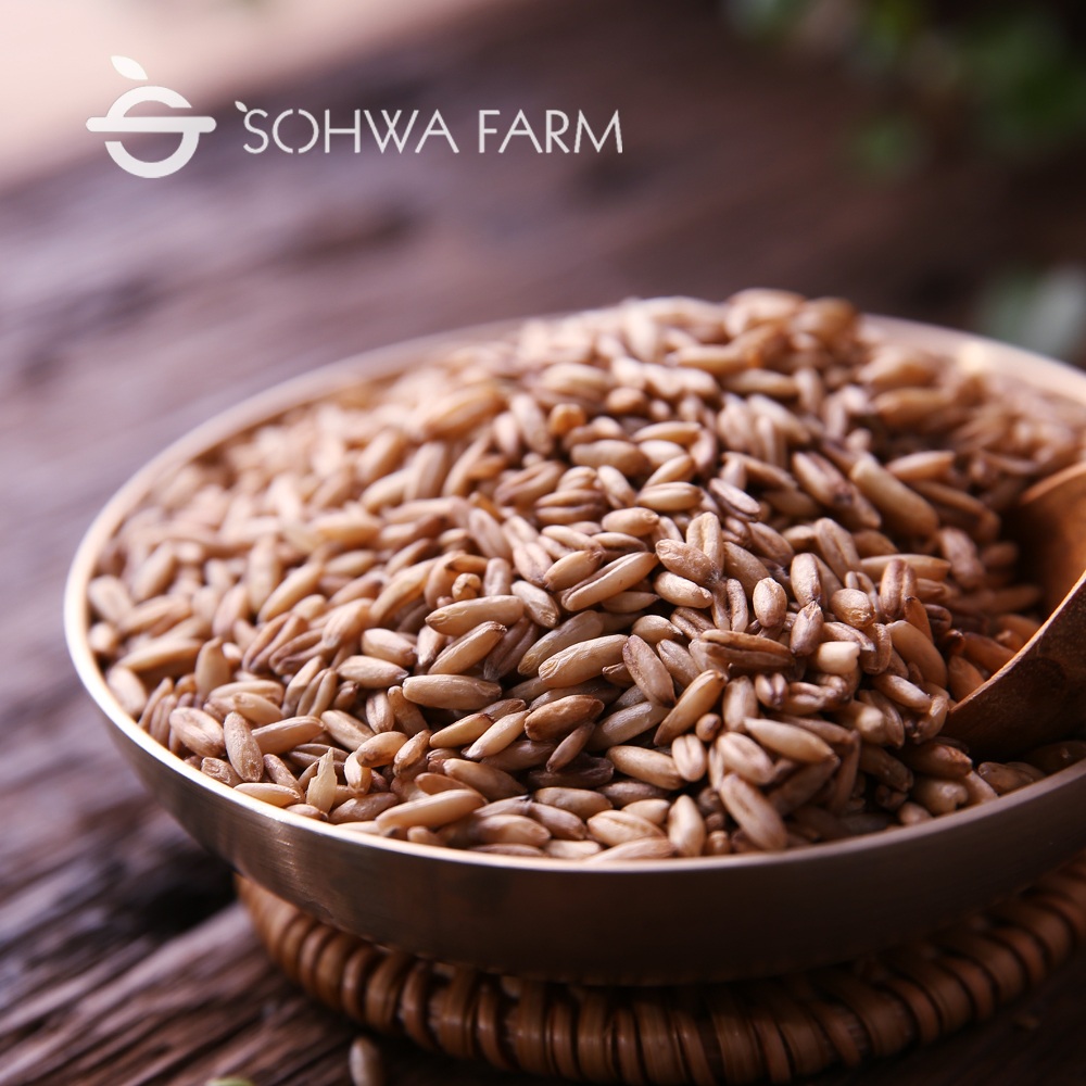 2025년 햇 국산 귀리 1kg 오트밀