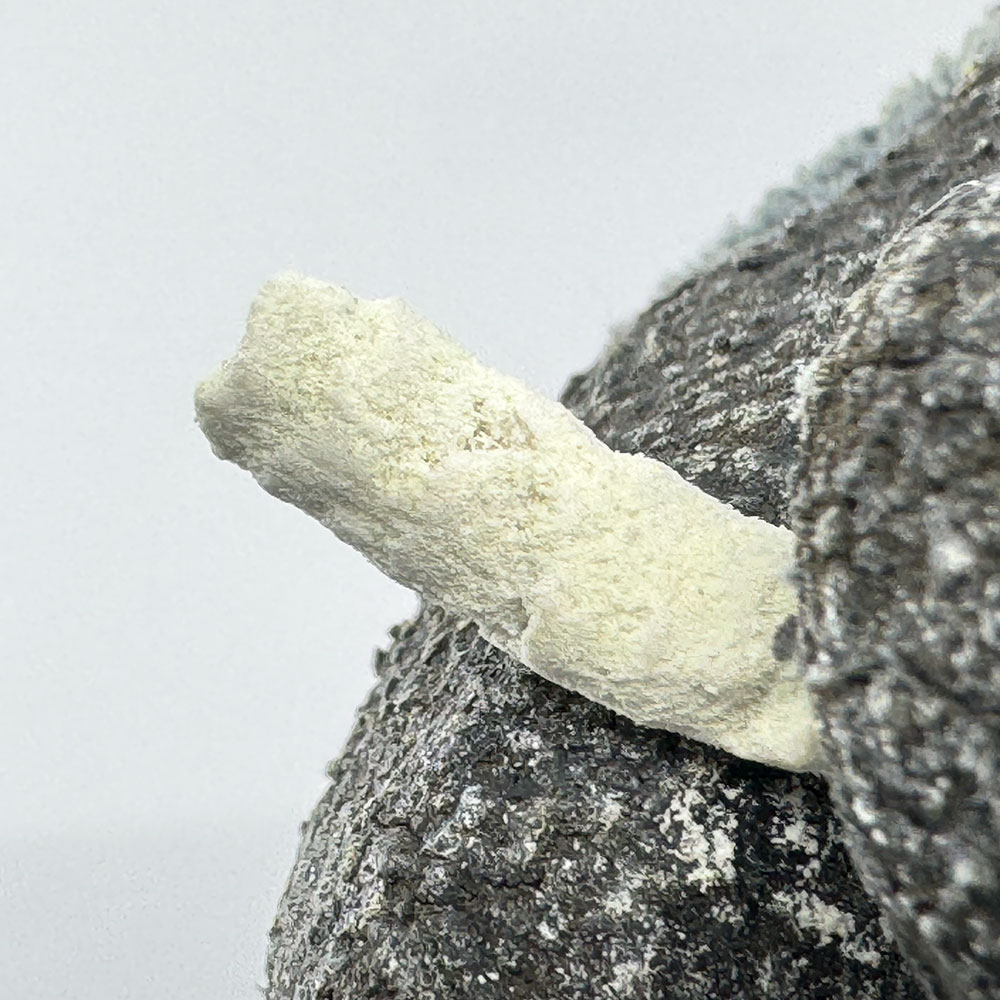 뱀 기피제 퇴치법 죽이는 방법 뱀 쫓는 약 800g, 2개 - 상세 이미지 3