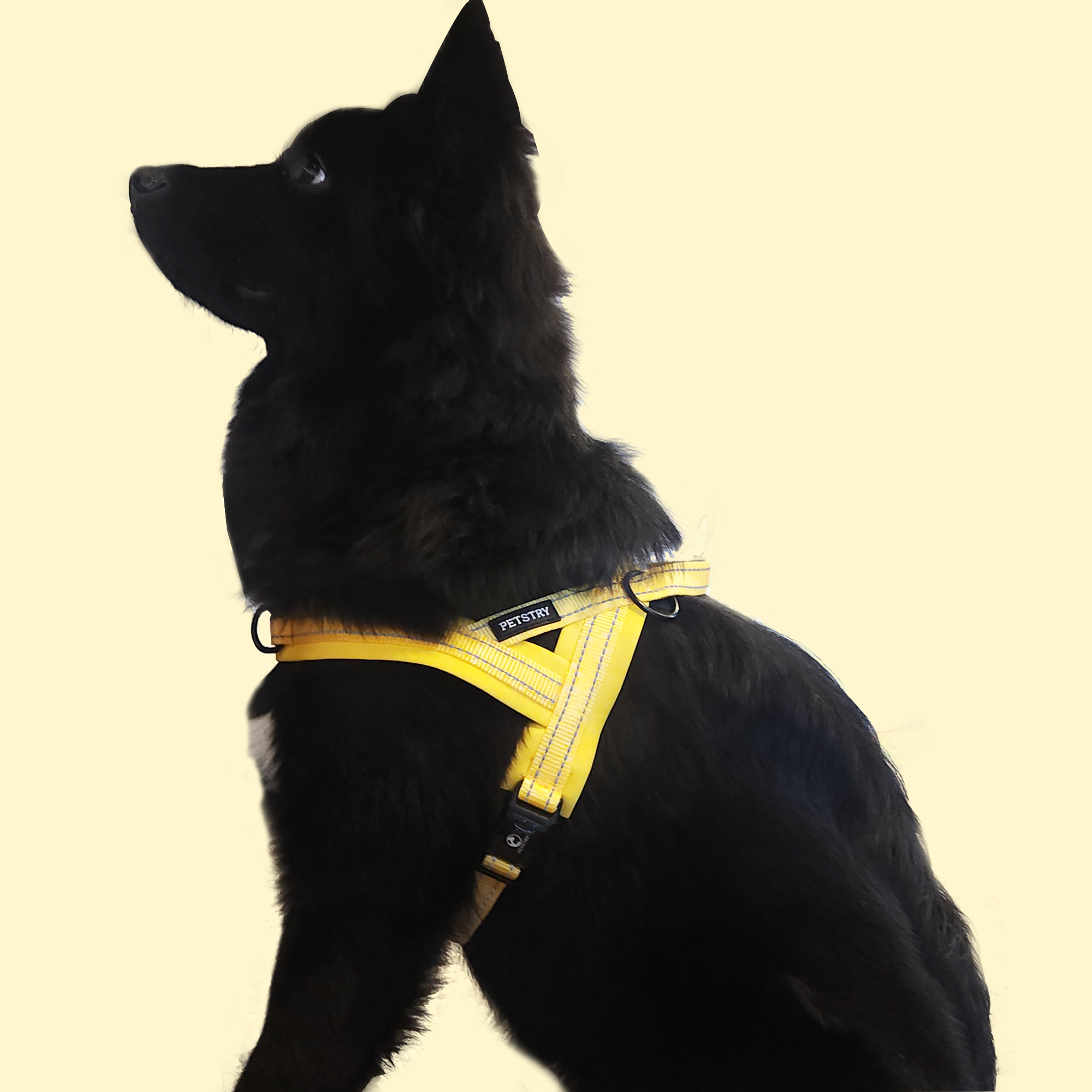 펫스츄리 강아지 앞섬방지 하네스 에어쿠션 가슴줄 대형견 산책 훈련 XS