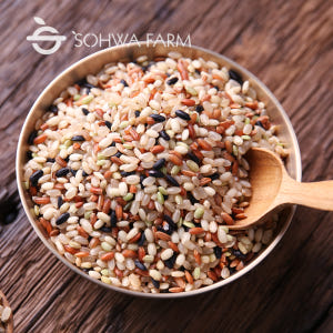 2025년 혼합잡곡 오색미 1kg 혼합쌀 저속노화식단 밥 맛있게 먹은 솔직 후기 - 상품 이미지 2