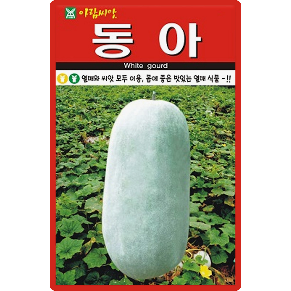 아람종묘 동아 씨앗 10립 넝쿨성 동과 씨 종자 : 씨앗농장몰