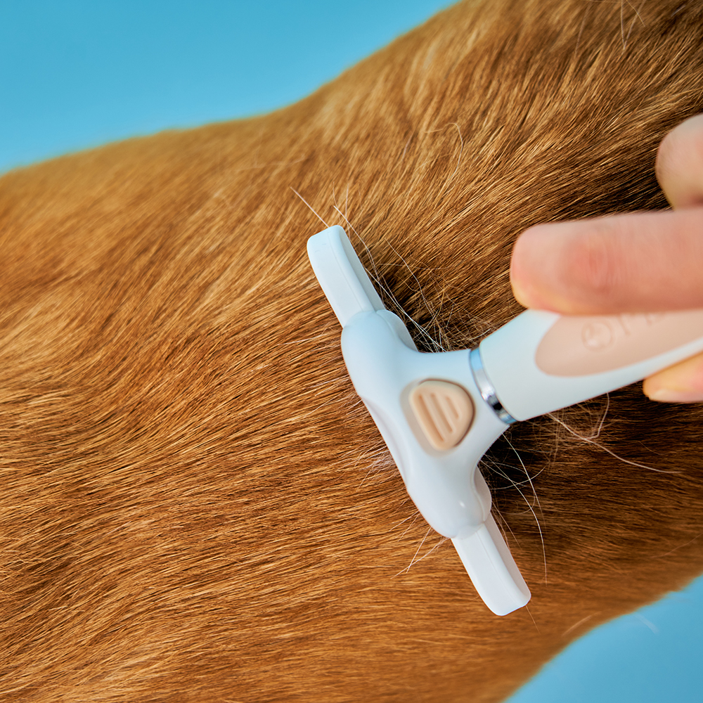 펫스츄리 강아지빗 고양이빗 원터치 죽은털제거브러쉬 S