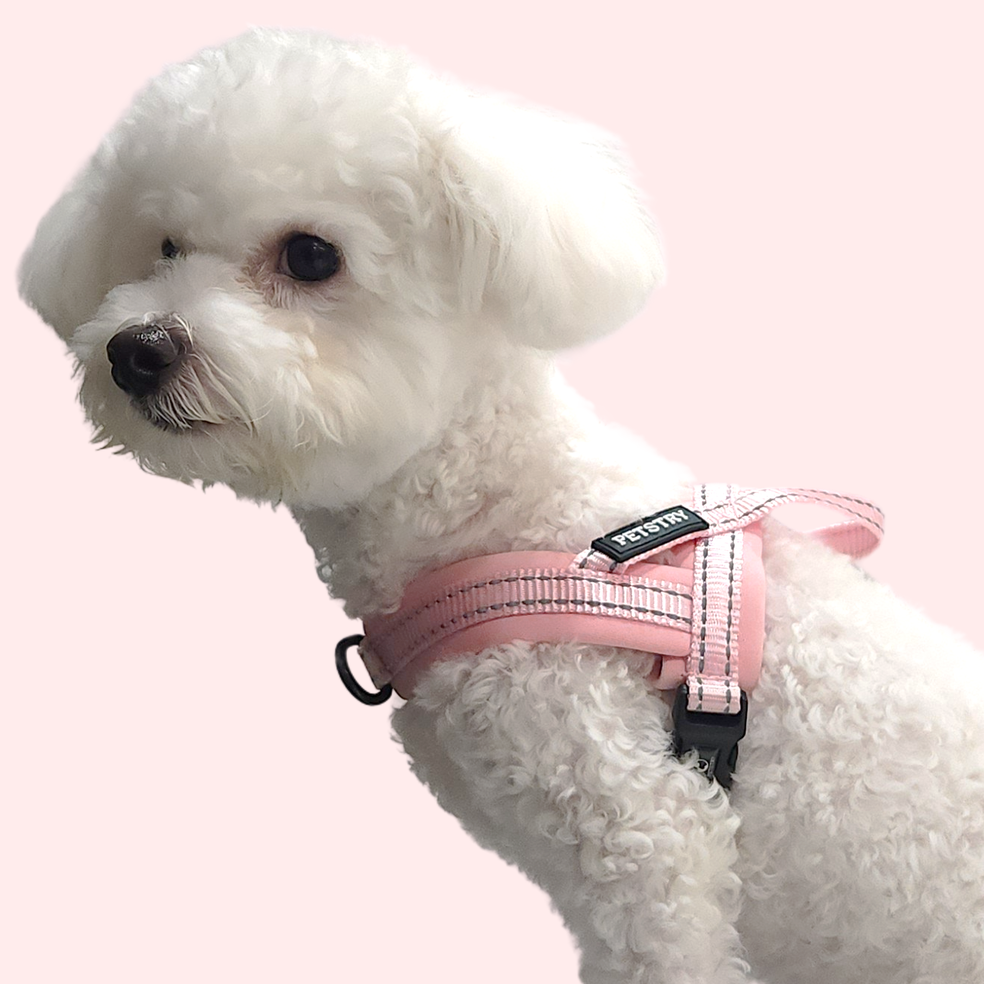 펫스츄리 강아지 앞섬방지 하네스 에어쿠션 가슴줄 대형견 산책 훈련 XS