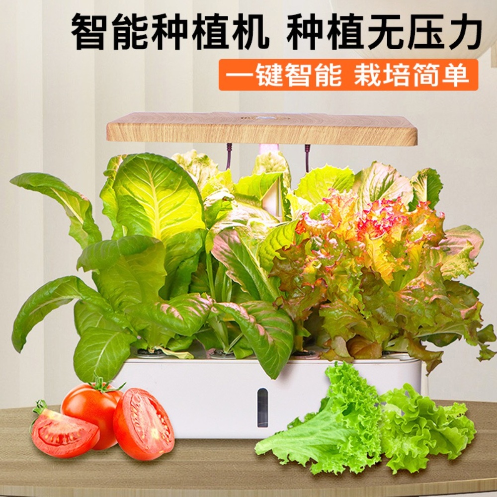 수경재배기 바질 치커리 키우기 LED 조명 이미지 3