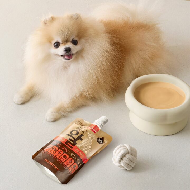 펫쿠르트 건강하개 프로젝트 왈 소화기능, 100ml, 10개 제품 이미지