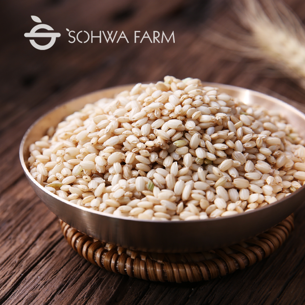 2024년 소화농장 찰현미2kg 5kg 찹쌀현미