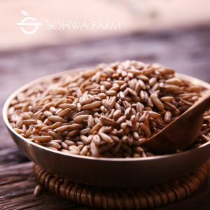 2025년 햇 국산 귀리 1kg 오트밀 맛있게 먹은 솔직 후기 - 상품 이미지 4