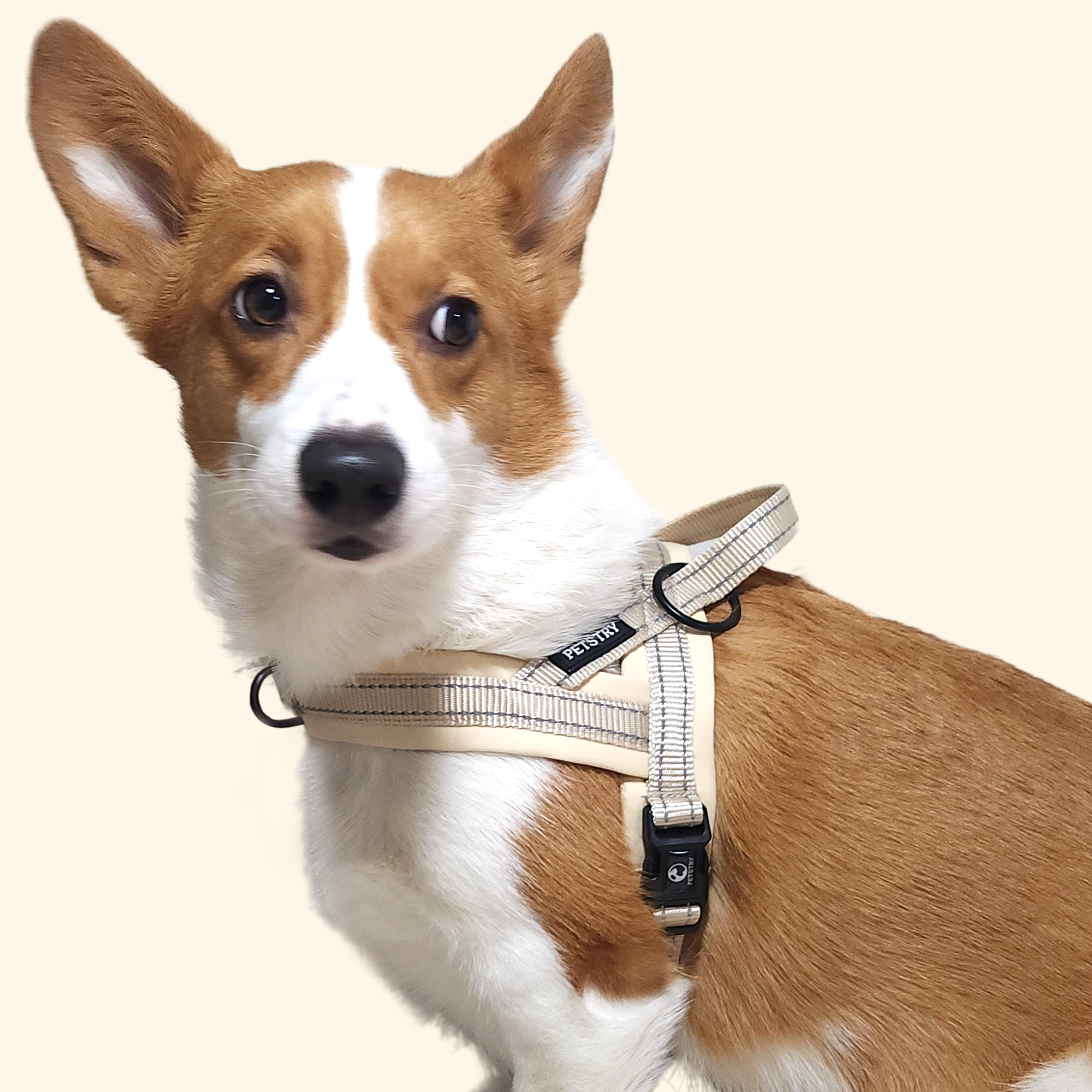 펫스츄리 강아지 앞섬방지 하네스 대형견 중형견 소형견 이지워크 가슴줄 XS