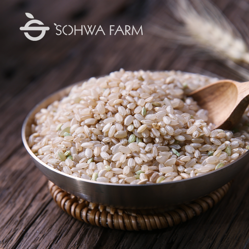 2024년 소화농장 현미 2kg 5kg 햅쌀