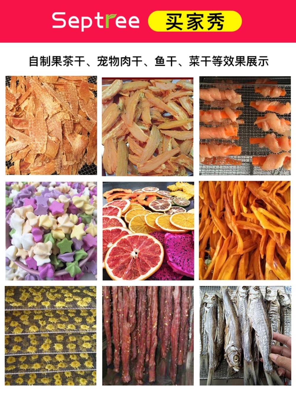 동결건조기 야채 식품 곶감 말리기 가정용 이미지 3