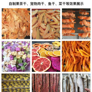 동결건조기 야채 식품 곶감 말리기 가정용 개봉기 | 실사용 후기 - 상품 이미지 3